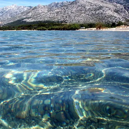 Mira